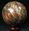 Colorful Petrified Wood Sphere #20606-1